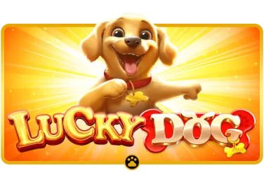 MMS918 စလော့ Myanmar ကစားသမား Online Slots Jackpot ဆွဲနေပုံ